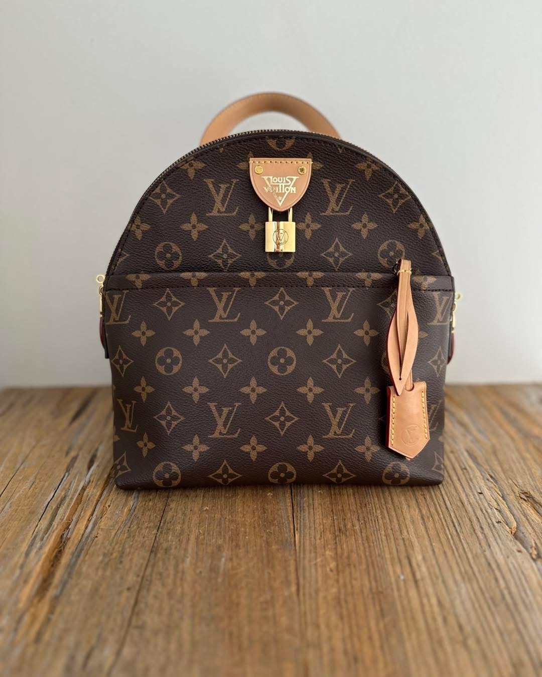 Louis Vuitton moon backpack