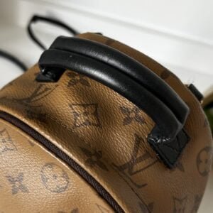 Louis Vuitton Palm Springs Mini Monogram Reverse