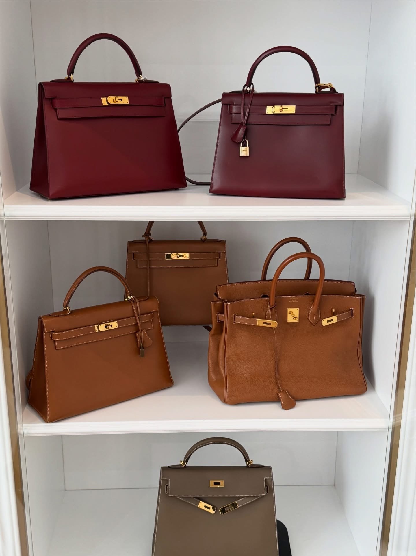 Hermes Collection