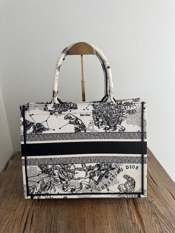 Dior Zodiac De Jouy Medium Book Tote