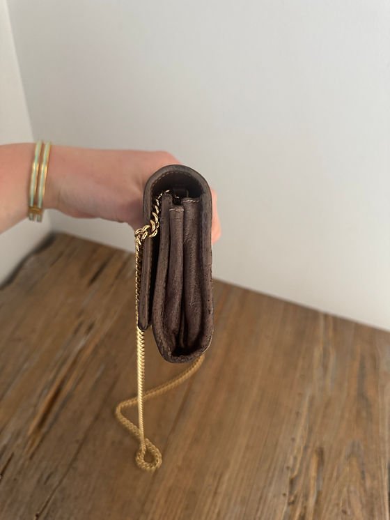 Gucci Ophidia WOC