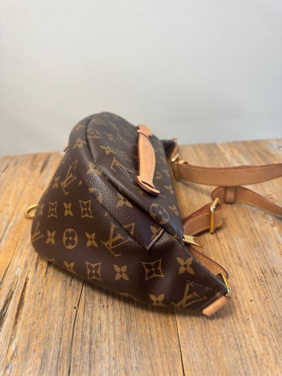 LV Monogram Bumbag