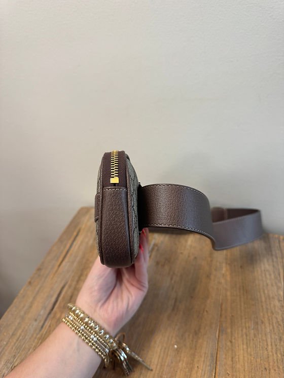 Mini Gucci Ophidia Belt Bag